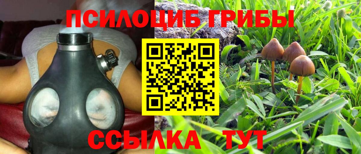 Псилоцибиновые грибы Psilocybine cubensis  Вход с VPN  Нижневартовск 