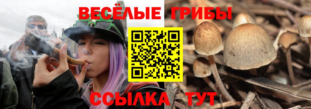 Псилоцибиновые грибы мухоморы Нижневартовск